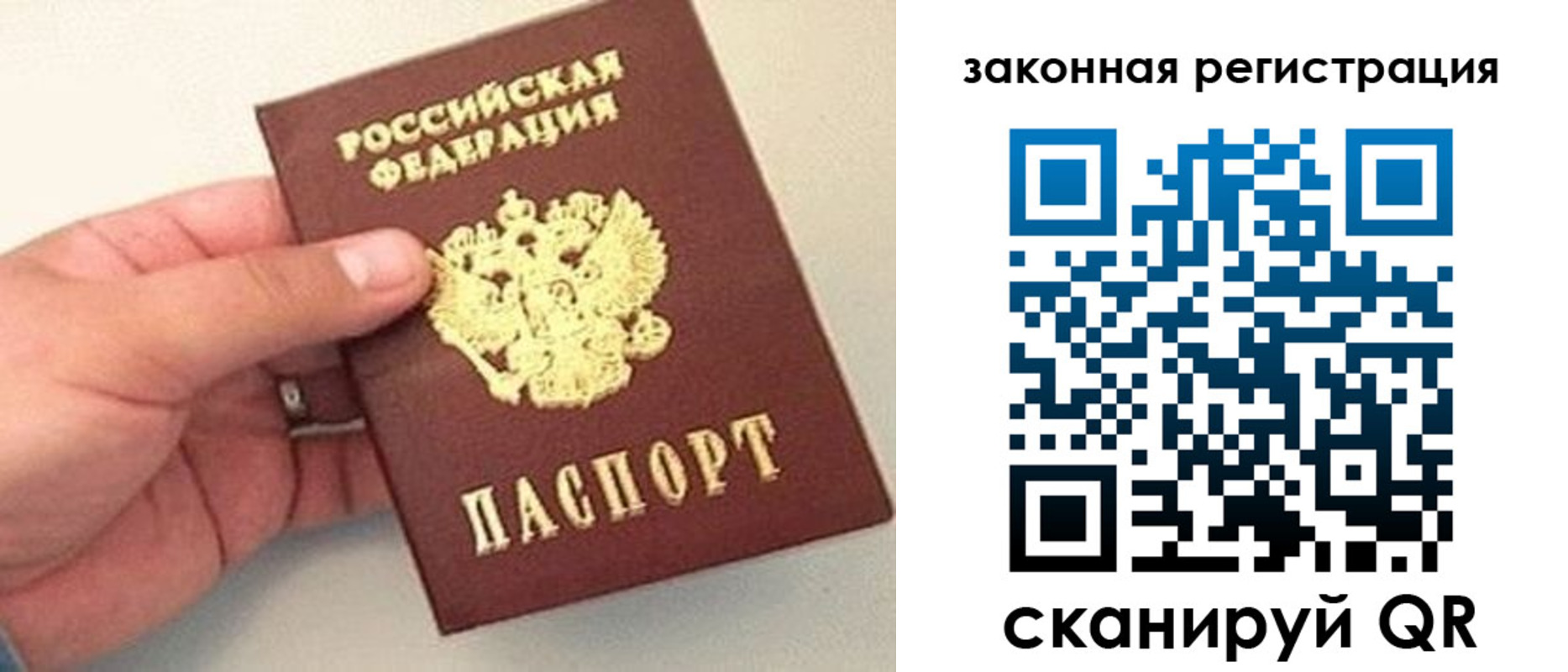 прописка для школы в Сальске